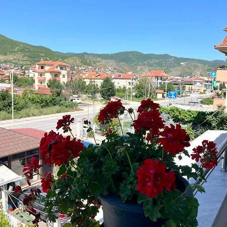 Villa71 Pogradec